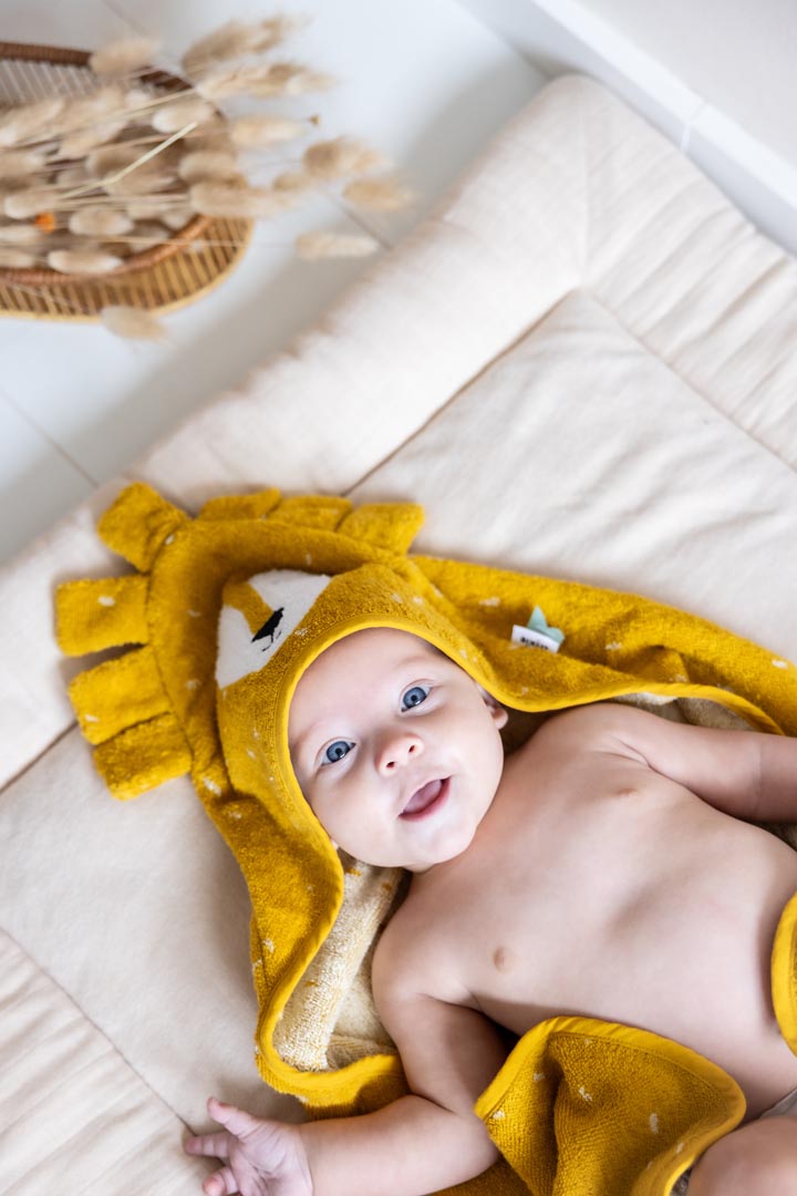 Hooded Towel - Lion