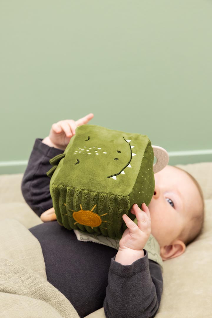 Activity Cube - Dino