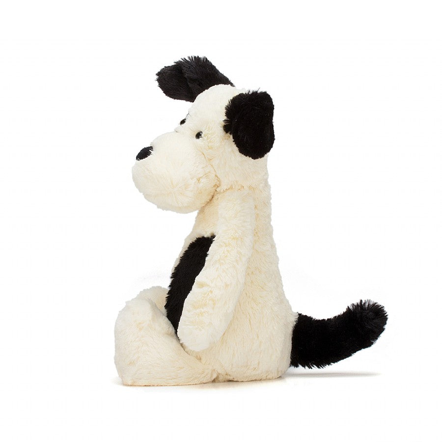 Bashful Puppy