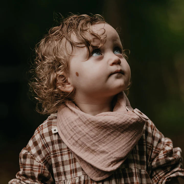 Muslin Bandana Bib - Blush