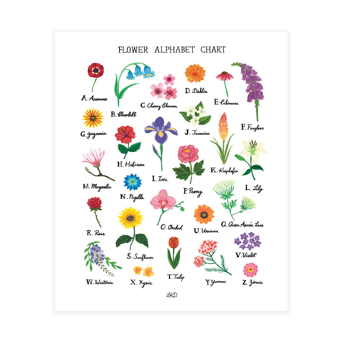 Art Print - Flower Alphabet Chart