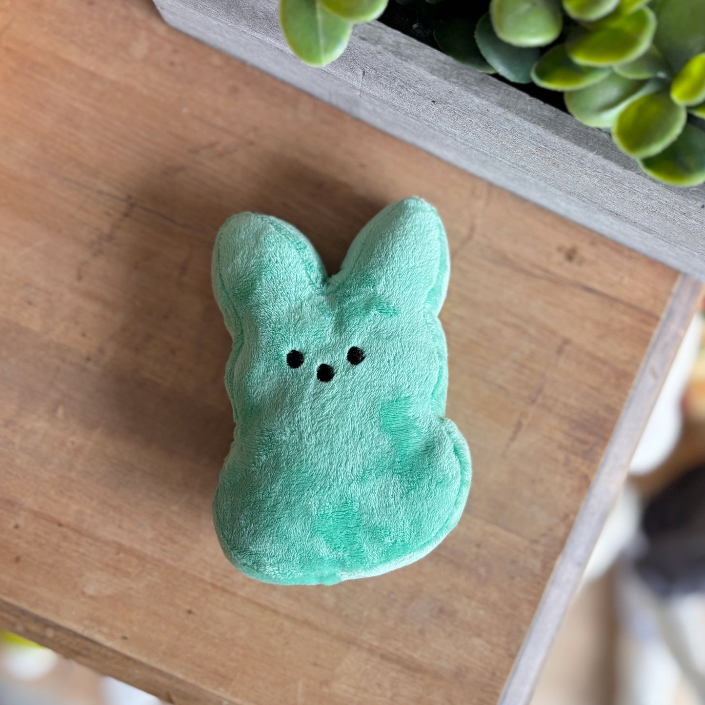 Little Peeps Plush - Green