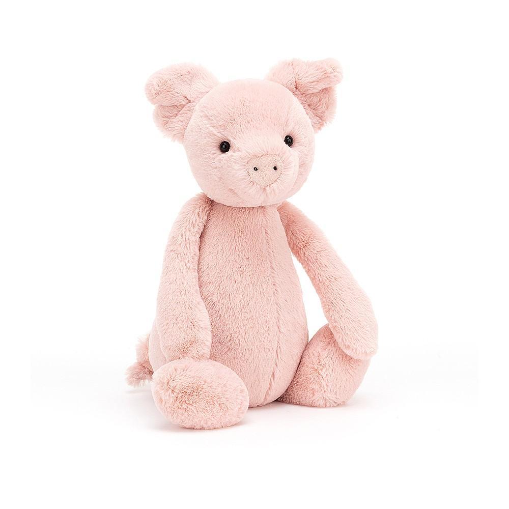 Bashful Pig
