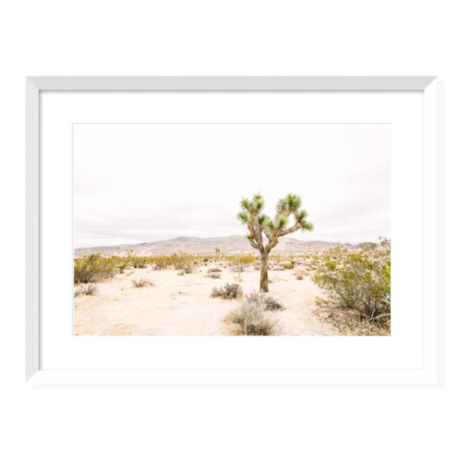 Joshua Tree