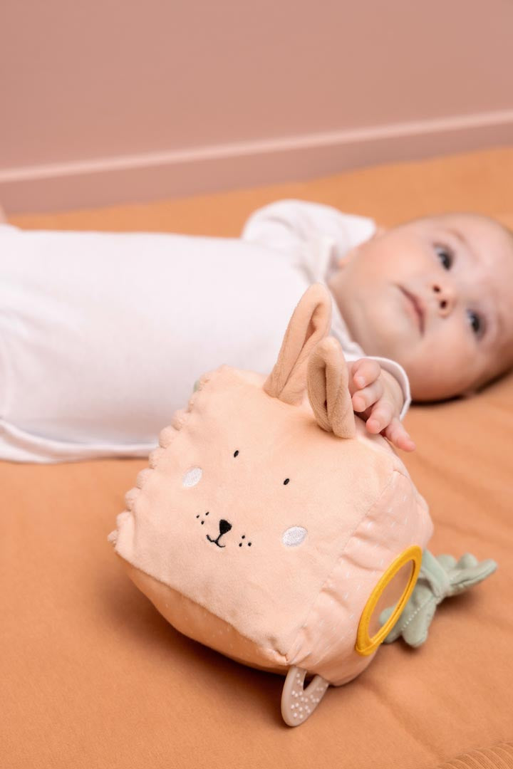 Activity Cube - Rabbit