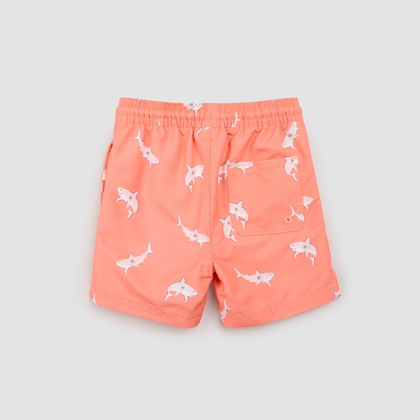 Shark Swim Shorts - Coral