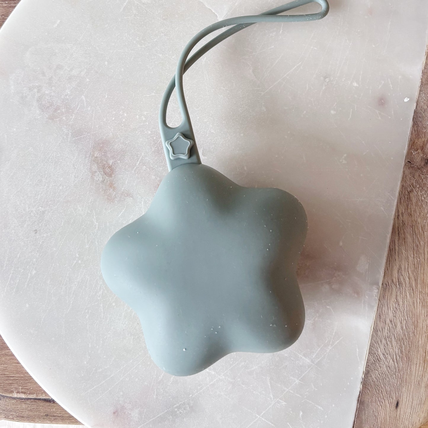Silicone Star Pacifier Case - Sage
