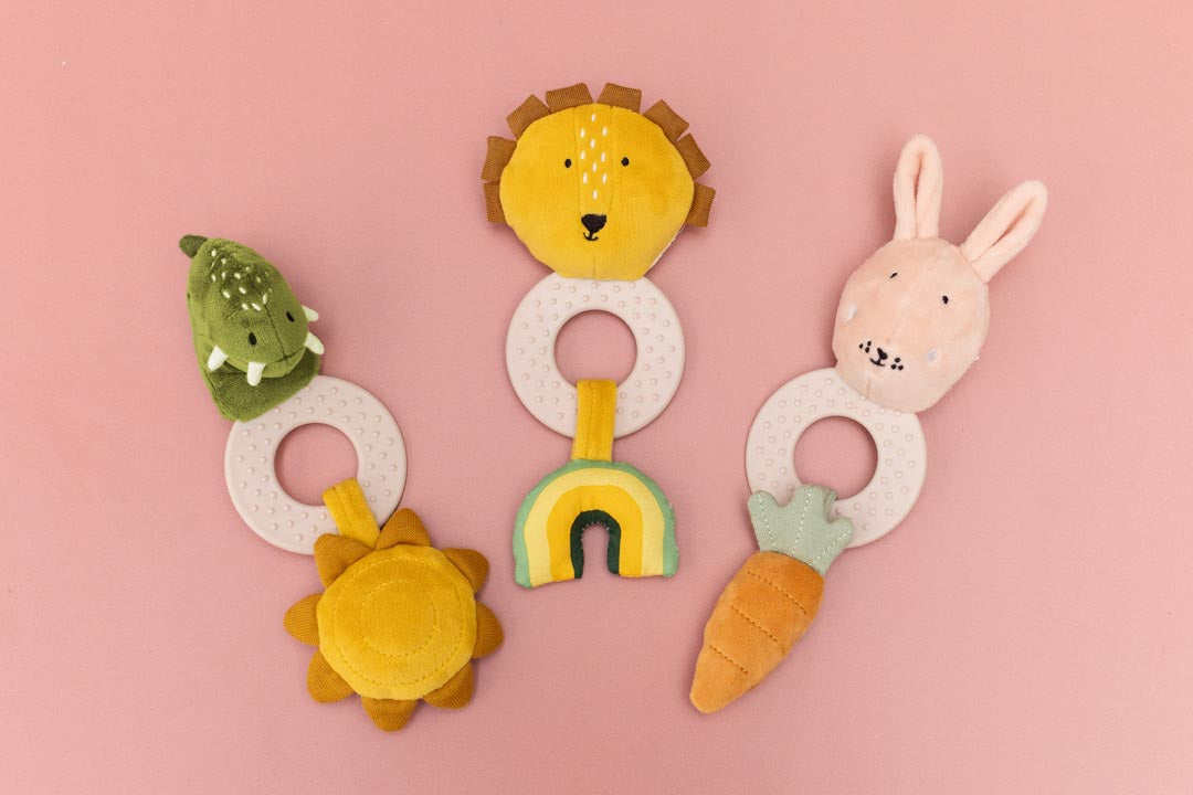 Teething Toy - Dino