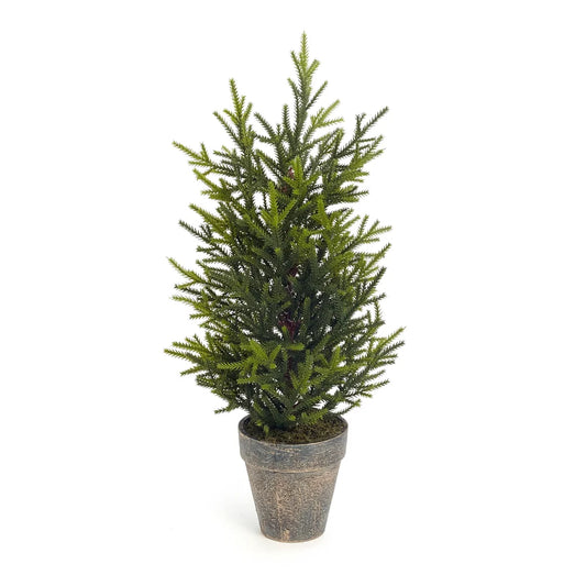 Cedar Tree in Pot - 18"