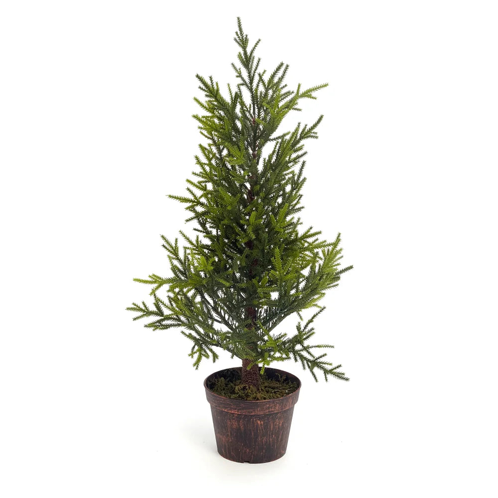 Cedar Tree in Pot - 22"