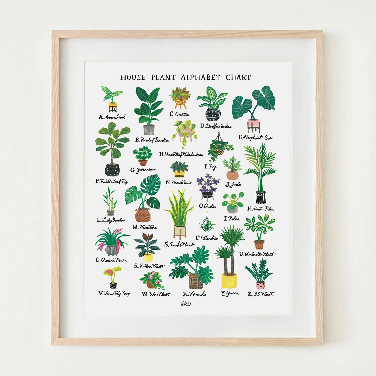 House Plant Alphabet Chart