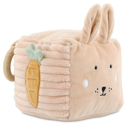 Activity Cube - Rabbit