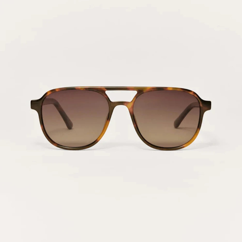 The Tourist (Brown Tortoise)