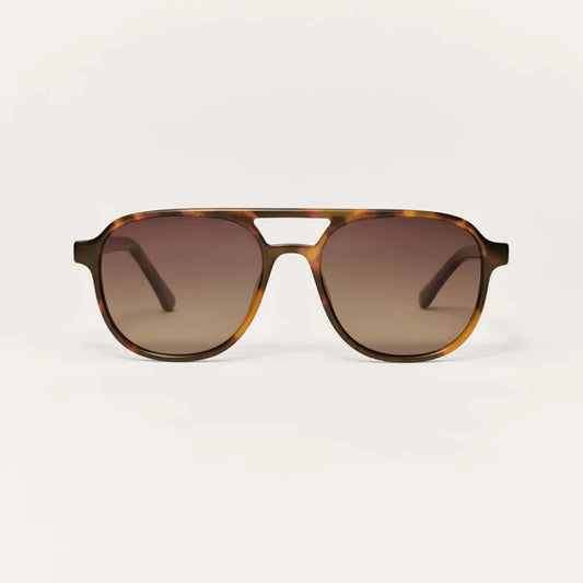 The Tourist (Brown Tortoise)