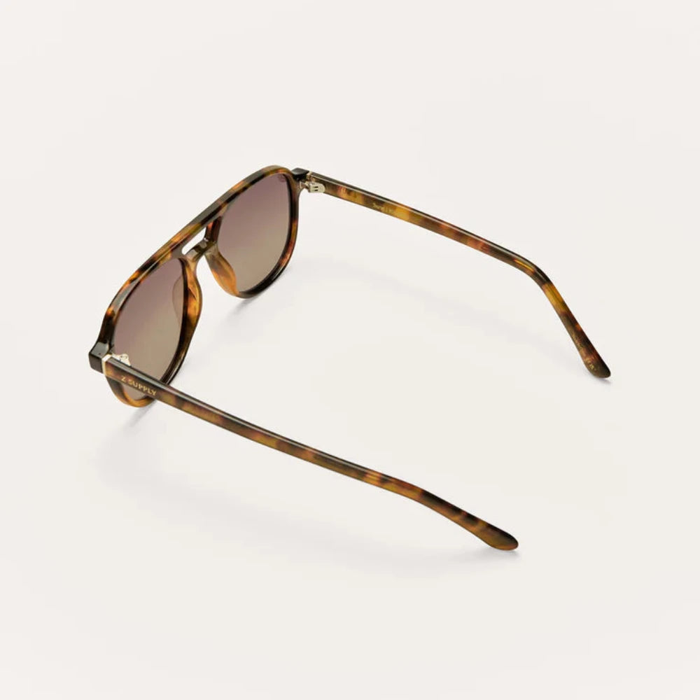 The Tourist (Brown Tortoise)