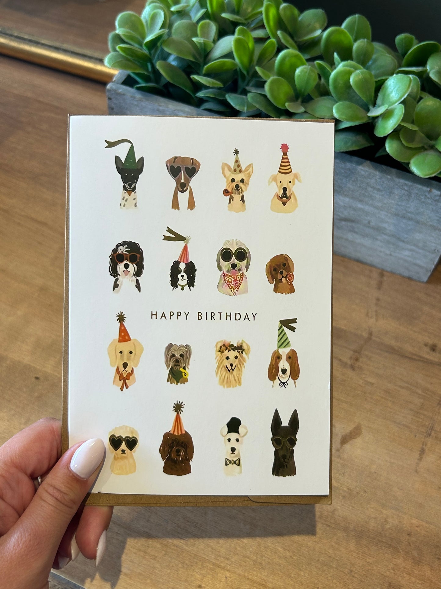 Card - Happy Birthday Dogs