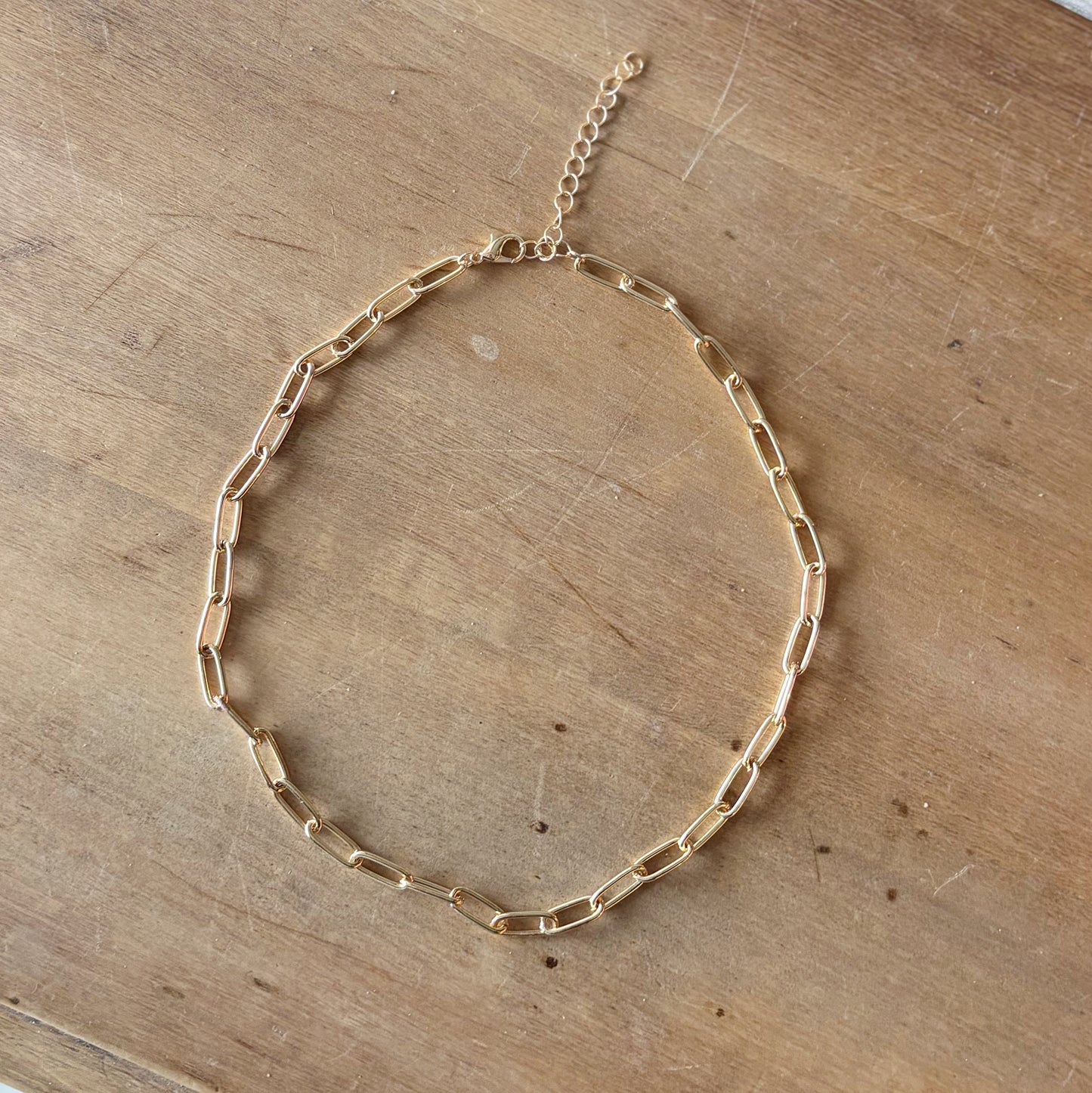 Paperclip Necklace