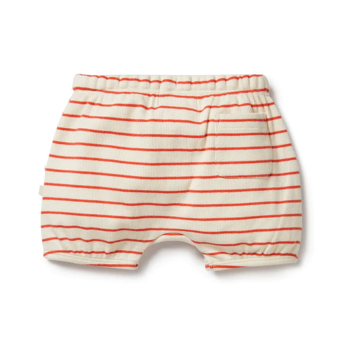 Organic Bloomer Shorts - Petit Rouge