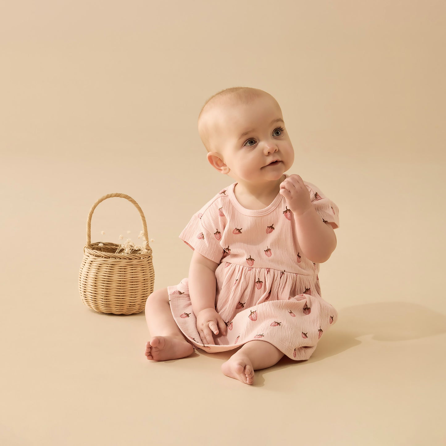 Baby Dress - Strawberry Kisses