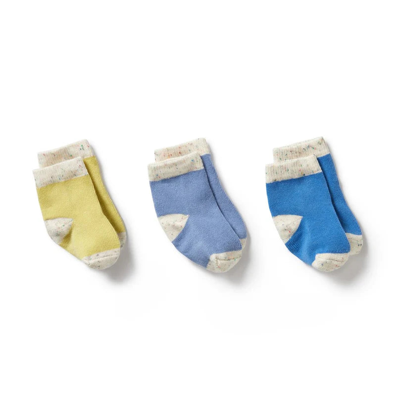 Organic Baby Socks 3pk - Endive / Bluebell / Blue