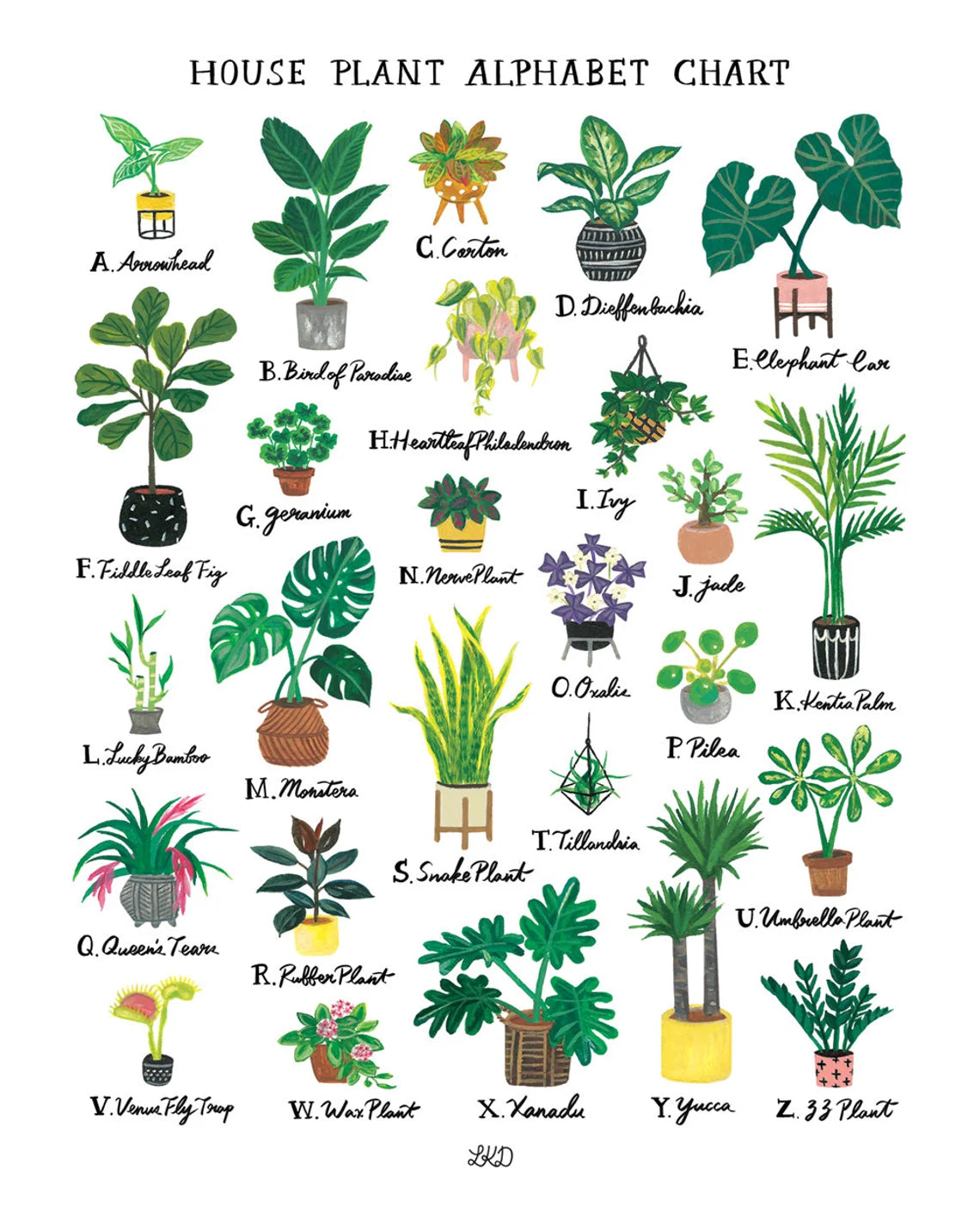 House Plant Alphabet Chart