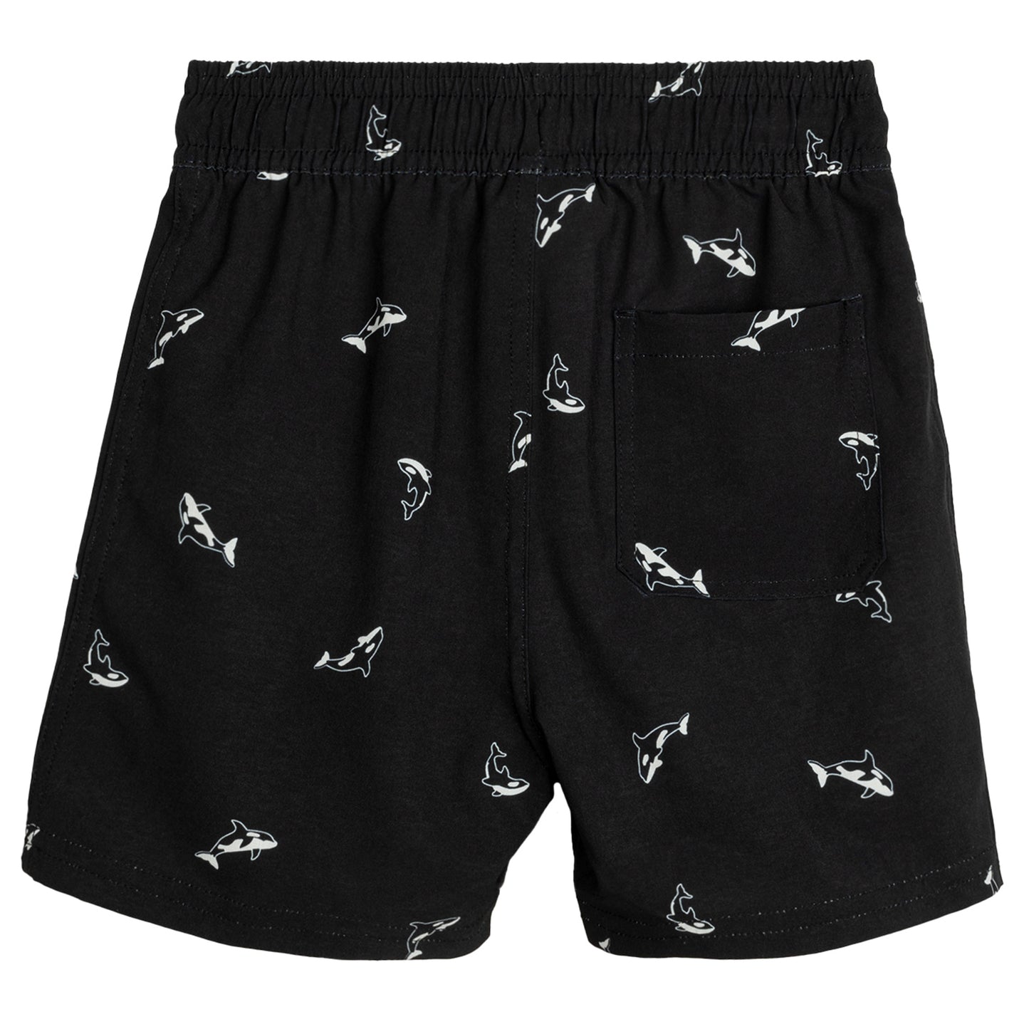 Swim Shorts - Orcas