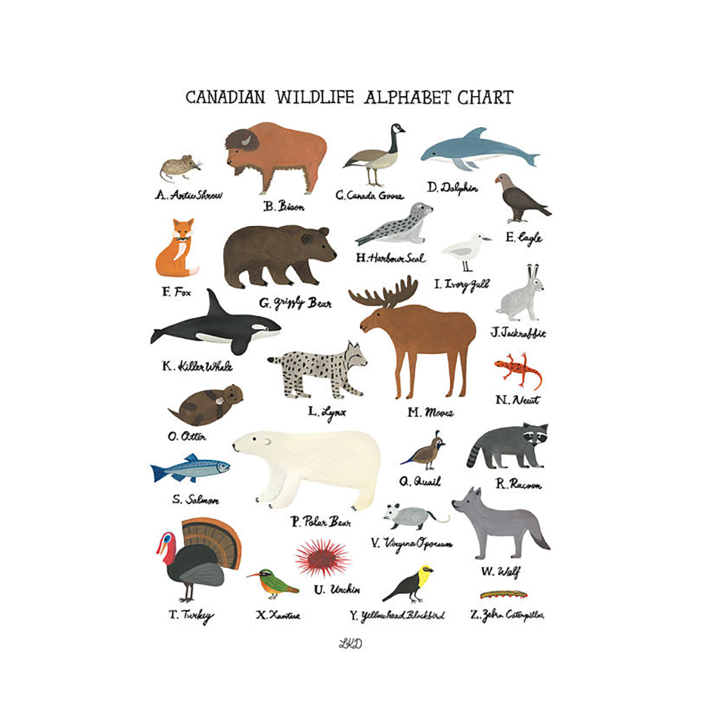 Art Print - Canadian Wildlife Alphabet Chart