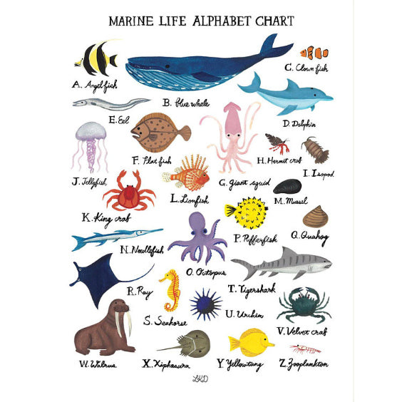 Art Print - Marine Life Alphabet Chart